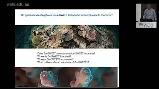 McFadden G (2023): Malaria: origin & elimination