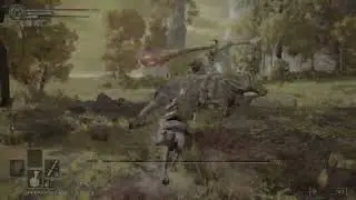 meme