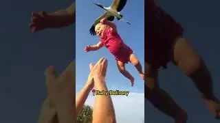 📽️ Perfect Timed Photos 
