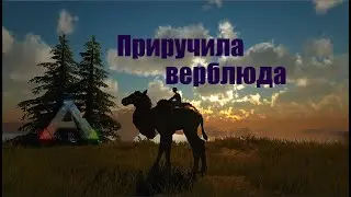 Приручаем верблюда... На сервере Just Zone.