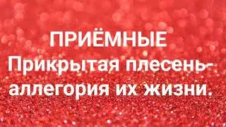 Дневник приёмной мамы/Обзор.