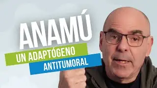 El ANAMÚ: Un Excelente Inmunomodulador y Antitumoral