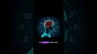 Влияние Новолуния в Близнецах 06.06.24