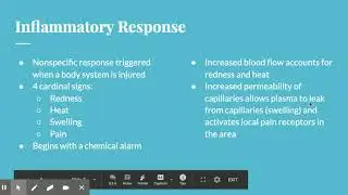 Immune System - Innate Defense Mechanisms