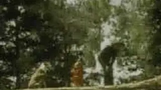 Levis stop-motion ad from 1970s