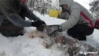 "Гуляние" в Топихе