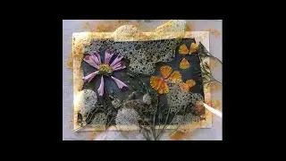 Atelier Cyanotype