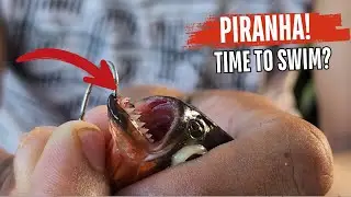 Amazon Piranha Fishing Gone Wild! (Swimming with Piranha!)