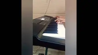 Tere Liye ( Veer Zaara ) - Nupur Naagar