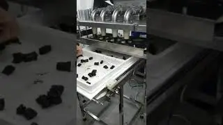 отсадочная машина для конфет из сухофруктов