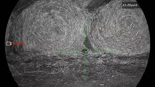 SHOOTING A RAT ON THE RUN IS VERY DIFFICULT TO DO