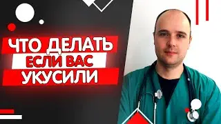 Укусила собака (кошка) как не заболеть бешенством