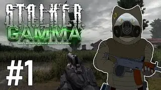 Fidchell VODs: STALKER GAMMA 0.9 Military Ironman Run [1]