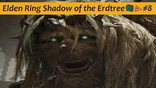 Vote for Pedro - Elden Ring Shadow of the Erdtree - Part 8 - The End