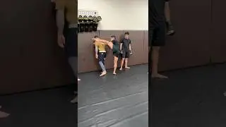 Punish your opponent for trying to take you down!
