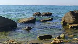 We Are Back With 10 Minutes  Ultra Relaxed Live Sounds 4K Video