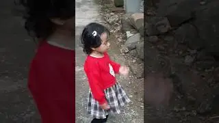 Malah liat ayam pacaran 😁