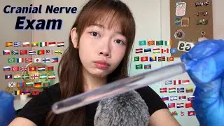 ASMR Cranial Nerve Exam in 70+ Different Languages (2 hours for sleep)
