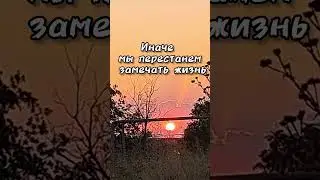 просто закат, но как завораживает#молодостькрасота #лекарство