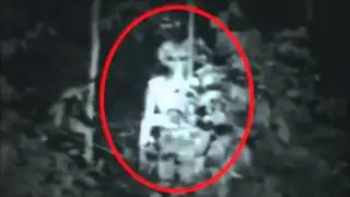 Aparição de Alien na mata em vídeo [PARANORMAL]