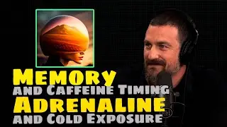 Memory & Caffeine Timing; Adrenaline & Cold Exposu | Andrew Huberman
