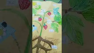 Plant parts project