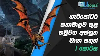 හැරීපෝටර් කතාමාලව තුළ හමුවන අත්භූත මායා සතුන් - 1 කොටස