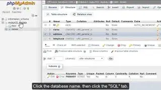 How to run SQL queries on a database with phpMyAdmin - HOSTIMUL