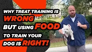 Food Training for Dogs- Why You SHOULD Use Food But SHOULDN'T Use Treats to Train Your Dog