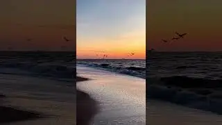 Море 🥰 #море #закат #эстетика #уют #подпишись #shorts
