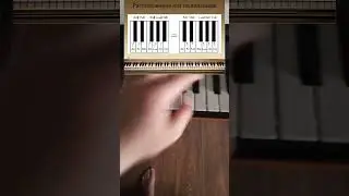 Расположение нот на нотном стане #shots #подпишись #piano #tutorial