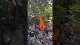 Siyam Sarıyo başa