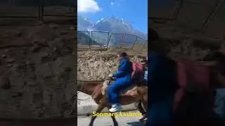 sonmarg jammu kashmir h.p king01