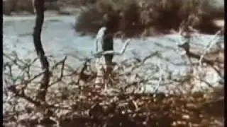 LA MUERTE DE SEBASTIAN ARACHE Y SU POBRE ENTIERRO