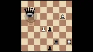 черные. старички и молодежь