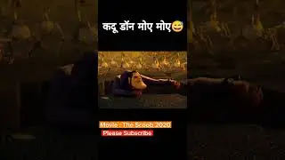 कदू don Moye Moye🤦