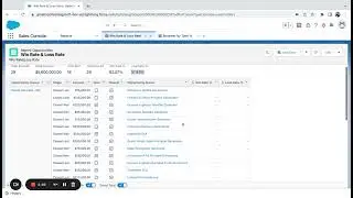 Salesforce Reports: Win Rate & Loss Rate Summary Formulas