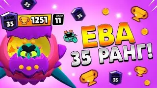 Апнул Еву на 35 ранг, с лучшим дуо шдшером СНГ ‎@Winchester