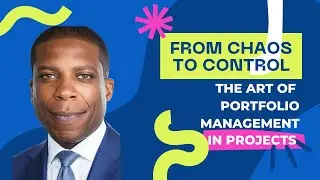 What is portfolio management in project management