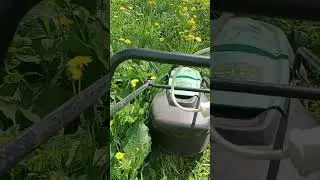газонокосилка не потянула