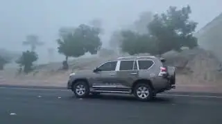 Foggy Morning | Kuwait |On the way to work