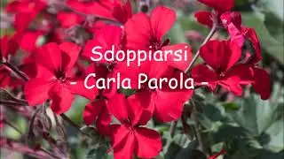 Sdoppiarsi   Carla Parola