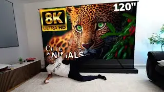 2024 Home Theatre - 120