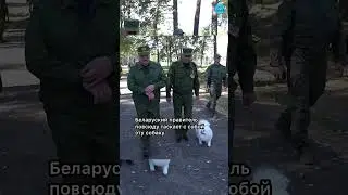 Собаку Лукашенко заметили на трибунах 9 мая в Москве  