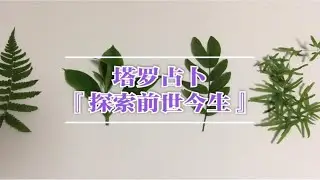 塔罗占卜『探索前世今生』