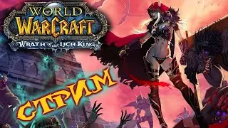 World of Warcraft | Sirus-x1 | Качаю паладина Рестрим на Twitch VK Play  #exizor #wow #sirus