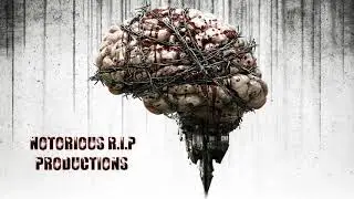 Hip Hop | Rap beat on Fl Studio || Origin