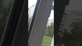 Дворник