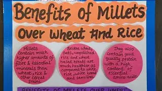 Benefits of Millets over Wheat and Rice (Tutorial link in description box)