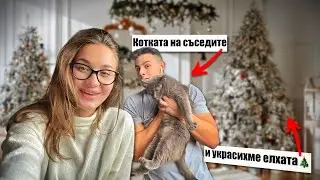 УКРАСЯВАМЕ ЗА ПЪРВИ ПЪТ ЗА КОЛЕДА